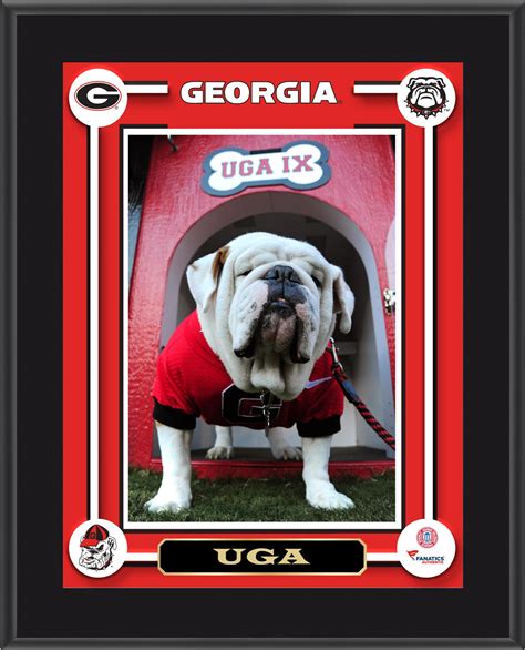 Uga V's Adventures: Traveling with Georgia's Mascot